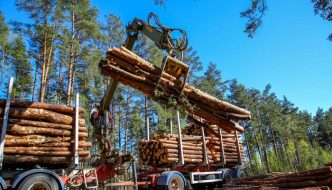claw placing freshly cut logs onto truck