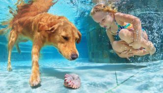 young girl underwater swimming with dog