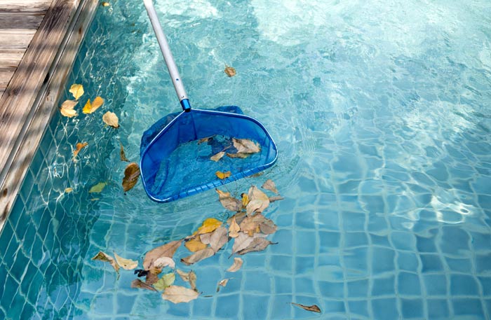 using net to clean out leaves from pool water