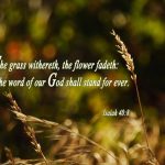 the Word of our God shall stand forever