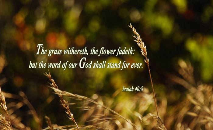 the Word of our God shall stand forever