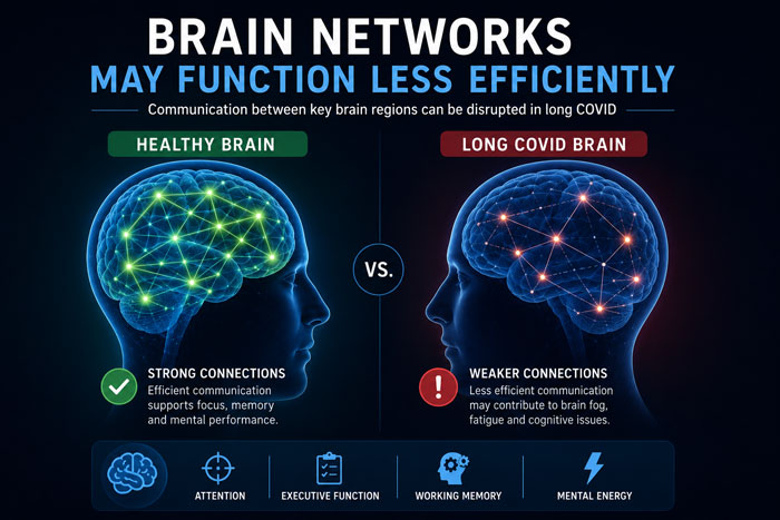 brain networks may function less efficiently