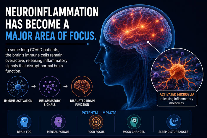 neuroinflammation has become a major area of focus
