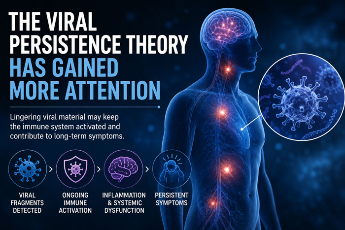 viral persistence theory has gained more attention